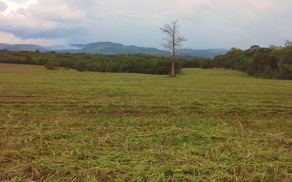 near San Ignacio Town, Cayo District, Belize