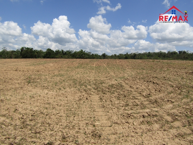 Agricultural land 