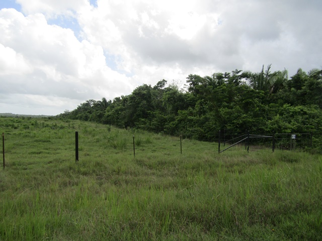 large acreage 