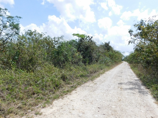 Farm land in Cayo