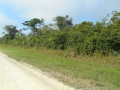 near Belmopan City, Cayo District, Belize