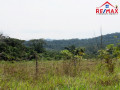 Belize Property for Sale
