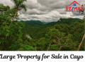 Belize Lot For Sale